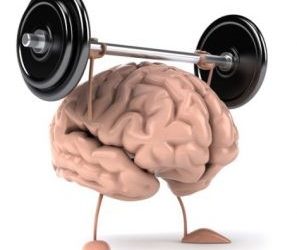 El maestro de orquesta: tu cerebro.
